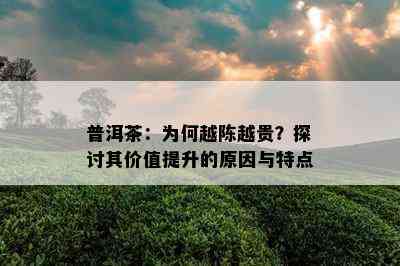 普洱茶：为何越陈越贵？探讨其价值提升的原因与特点