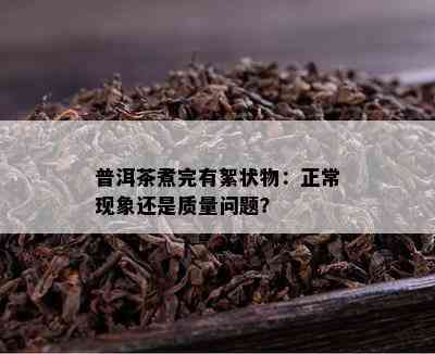 普洱茶煮完有絮状物：正常现象还是品质疑问？