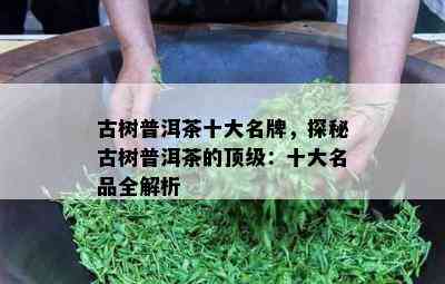 古树普洱茶十大名牌，探秘古树普洱茶的顶级：十大名品全解析