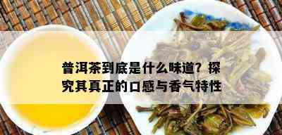 普洱茶到底是什么味道？探究其真正的口感与香气特性