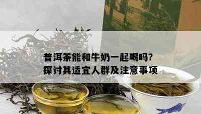 普洱茶能和牛奶一起喝吗？探讨其适宜人群及留意事项