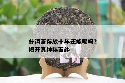 普洱茶存放十年还能喝吗？揭开其神秘面纱