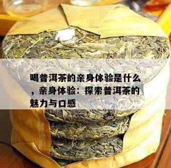 喝普洱茶的亲身体验是什么，亲身体验：探索普洱茶的魅力与口感