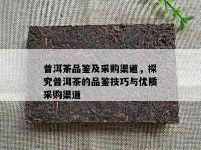 普洱茶品鉴及采购渠道，探究普洱茶的品鉴技巧与优质采购渠道