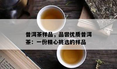 普洱茶样品，品尝优质普洱茶：一份精心挑选的样品