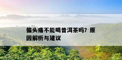 偏头痛不能喝普洱茶吗？原因解析与建议