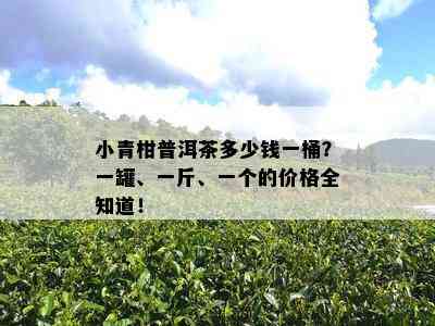 小青柑普洱茶多少钱一桶？一罐、一斤、一个的价格全知道！