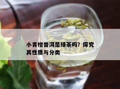 小青柑普洱是绿茶吗？探究其性质与分类