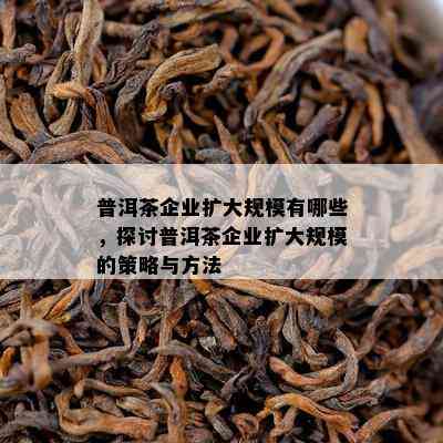 普洱茶企业扩大规模有哪些，探讨普洱茶企业扩大规模的策略与方法