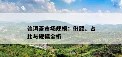 普洱茶市场规模：份额、占比与规模全析