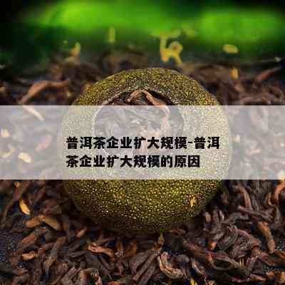 普洱茶企业扩大规模-普洱茶企业扩大规模的起因