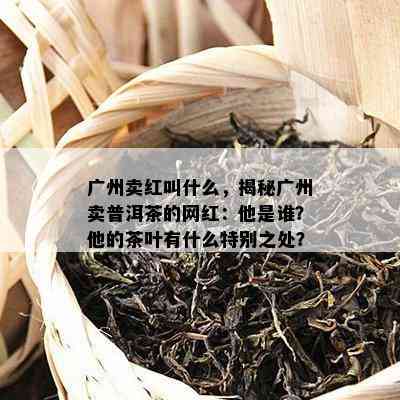 广州卖红叫什么，揭秘广州卖普洱茶的网红：他是谁？他的茶叶有什么特别之处？