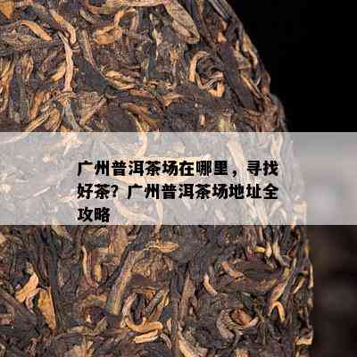 广州普洱茶场在哪里，寻找好茶？广州普洱茶场地址全攻略