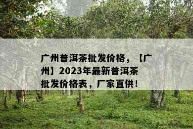 广州普洱茶批发价格，【广州】2023年最新普洱茶批发价格表，厂家直供！