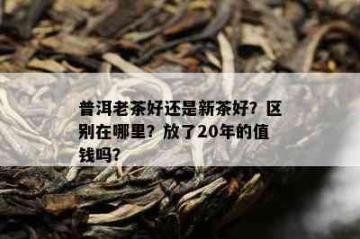 普洱老茶好还是新茶好？区别在哪里？放了20年的值钱吗？