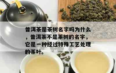 普洱茶是茶树名字吗为什么，普洱茶不是茶树的名字，它是一种经过特殊工艺处理的茶叶。