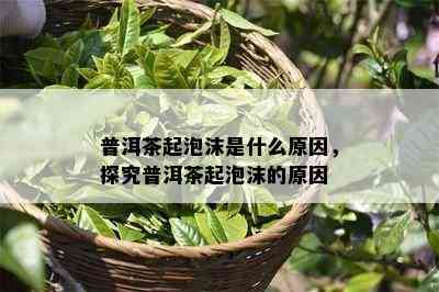 普洱茶起泡沫是什么起因，探究普洱茶起泡沫的起因