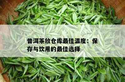 普洱茶放仓库更佳温度：保存与饮用的更佳选择