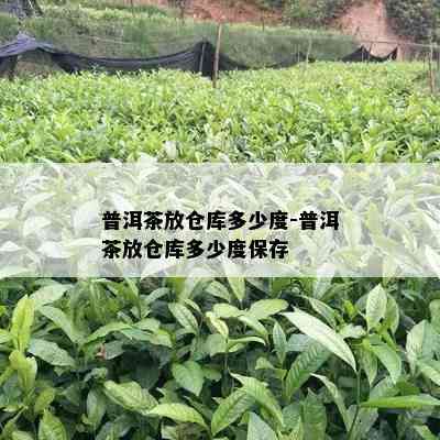 普洱茶放仓库多少度-普洱茶放仓库多少度保存