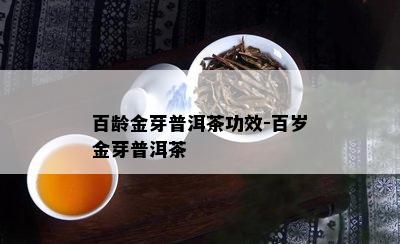 百龄金芽普洱茶功效-百岁金芽普洱茶