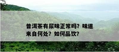 普洱茶有尿味正常吗？味道来自何处？怎样品饮？