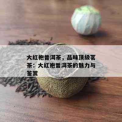 大红袍普洱茶，品味顶级茗茶：大红袍普洱茶的魅力与鉴赏