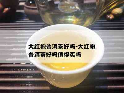 大红袍普洱茶好吗-大红袍普洱茶好吗值得买吗