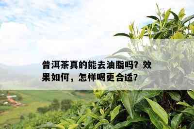 普洱茶真的能去油脂吗？效果怎样，怎样喝更合适？