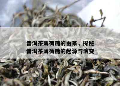 普洱茶薄荷糖的由来，探秘普洱茶薄荷糖的起源与演变