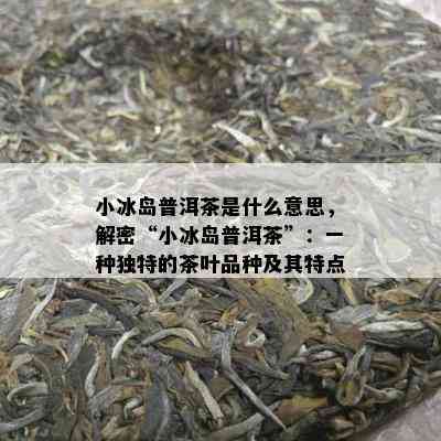 小冰岛普洱茶是什么意思，解密“小冰岛普洱茶”：一种特别的茶叶品种及其特点