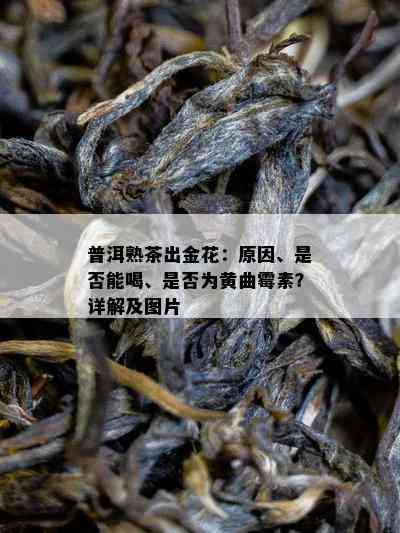 普洱熟茶出金花：起因、是不是能喝、是不是为黄曲霉素？详解及图片