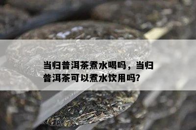 当归普洱茶煮水喝吗，当归普洱茶可以煮水饮用吗？