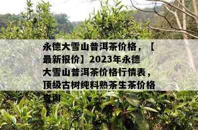 永德大雪山普洱茶价格，【最新报价】2023年永德大雪山普洱茶价格行情表，顶级古树纯料熟茶生茶价格查询