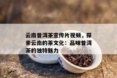 云南普洱茶宣传片视频，探索云南的茶文化：品味普洱茶的独特魅力