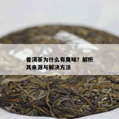 普洱茶为什么有臭味？解析其来源与解决方法