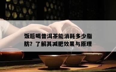 饭后喝普洱茶能消耗多少脂肪？了解其减肥效果与原理