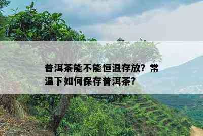 普洱茶能不能恒温存放？常温下怎样保存普洱茶？