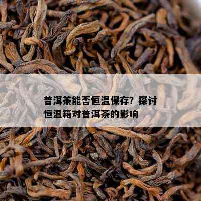 普洱茶能否恒温保存？探讨恒温箱对普洱茶的作用