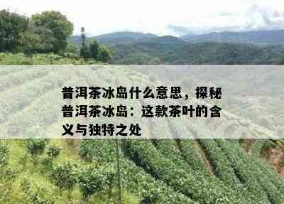 普洱茶冰岛什么意思，探秘普洱茶冰岛：这款茶叶的含义与特别之处