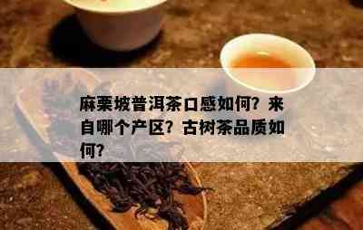 麻栗坡普洱茶口感怎样？来自哪个产区？古树茶品质怎样？