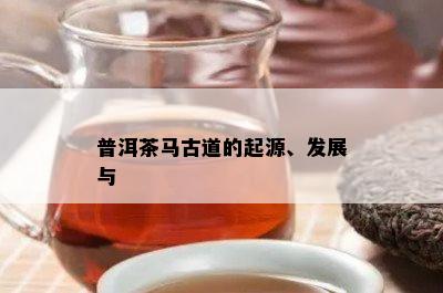 普洱茶马古道的起源、发展与