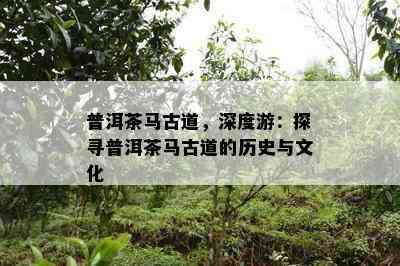 普洱茶马古道，深度游：探寻普洱茶马古道的历史与文化