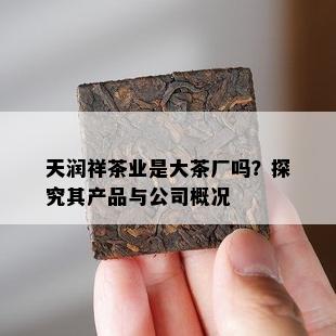 天润祥茶业是大茶厂吗？探究其产品与公司概况