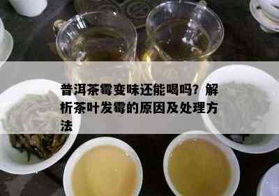 普洱茶霉变味还能喝吗？解析茶叶发霉的起因及解决方法