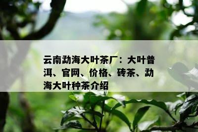 云南勐海大叶茶厂：大叶普洱、官网、价格、砖茶、勐海大叶种茶介绍