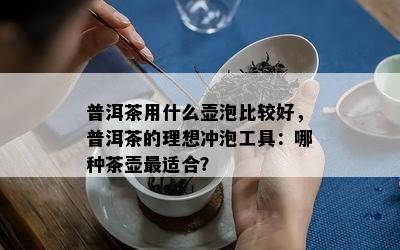 普洱茶用什么壶泡比较好，普洱茶的理想冲泡工具：哪种茶壶最适合？