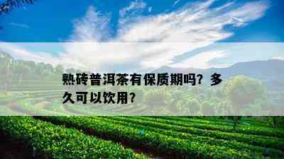 熟砖普洱茶有保质期吗？多久可以饮用？