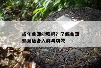 成年普洱能喝吗？熟悉普洱熟茶适合人群与功效