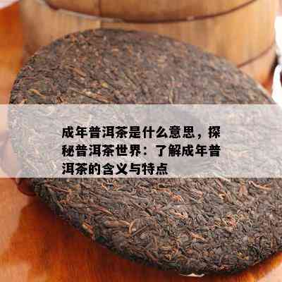 成年普洱茶是什么意思，探秘普洱茶世界：了解成年普洱茶的含义与特点