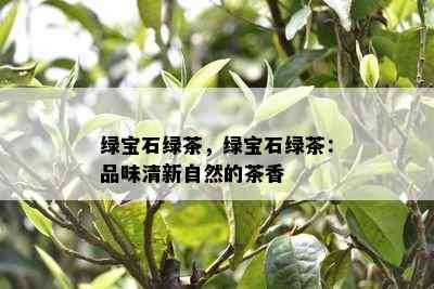 绿宝石绿茶，绿宝石绿茶：品味清新自然的茶香